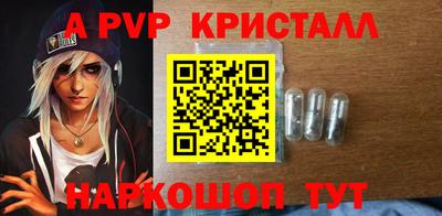 спиды Сланцы